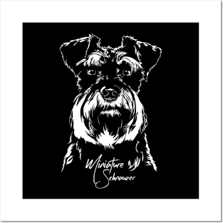 Miniature Schnauzer dog portrait Posters and Art